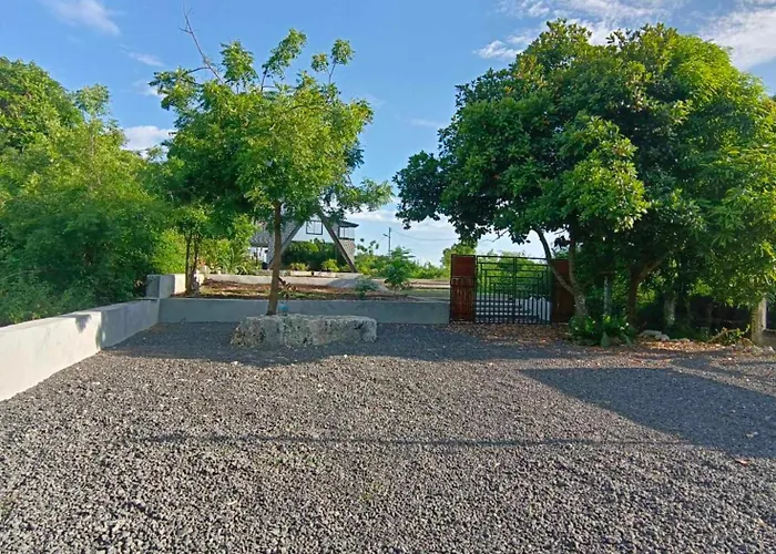 Lighted Garden Guest house 4*